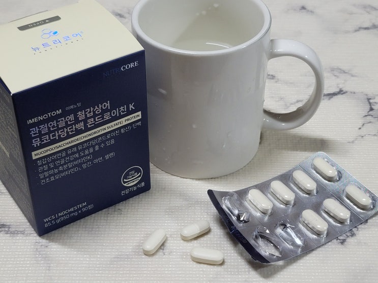  콘드로이친 효능 연골건강 영양제 추천 후기