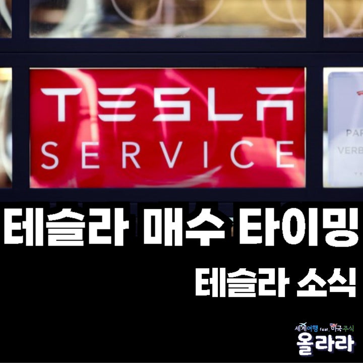  테슬라 주가 차트 하락 매수