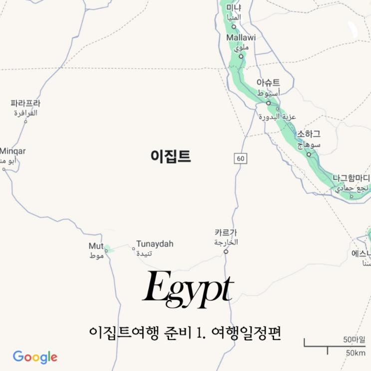  이집트 자유여행 후기 경비 일정 9박11일 코스