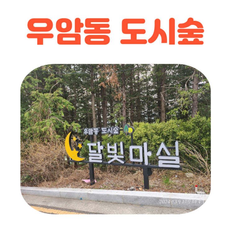  집 근천 근린공원 나들이 우암동 도시숲 야경명소