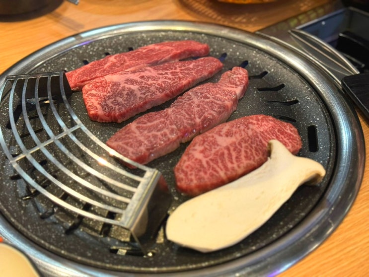  구워주는 샤로수길 고기 맛집 프리미엄 와규 한돈 규돈향