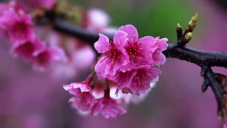  축산산업기사 학점은행제  자격증 취득  알아보셨나요 ~