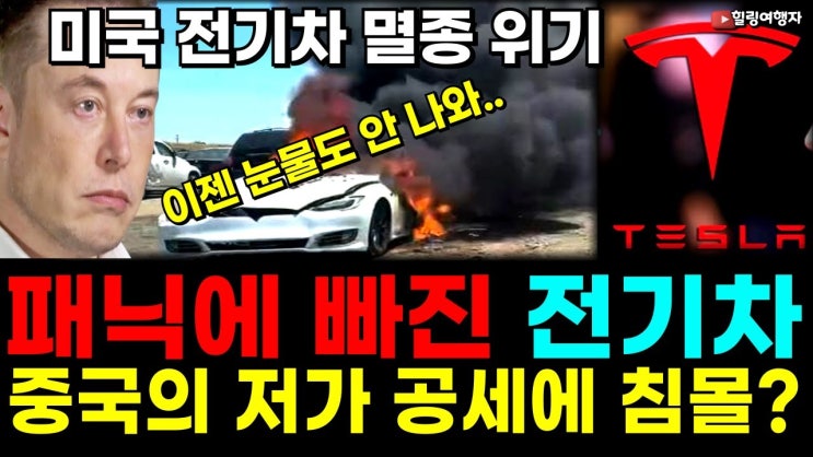 투자자들 곡소리 나는 테슬라, 전망이 점점 극과 극으로 갈리는 이유는? 투자자들 곡소리 나는 테슬라, 전망이 점점 극과 극으로 갈리는 이유는?