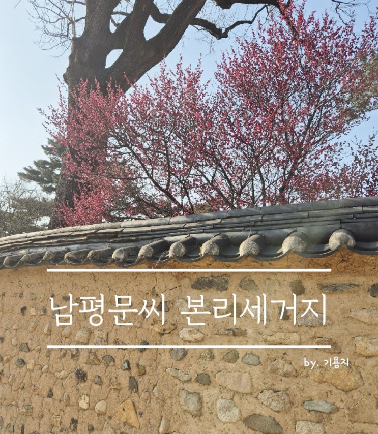 [봄] 남평 문씨 본리세거지 매화 구경•인흥원•주차안내