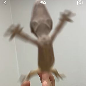 24년 3월이네? 섬네일