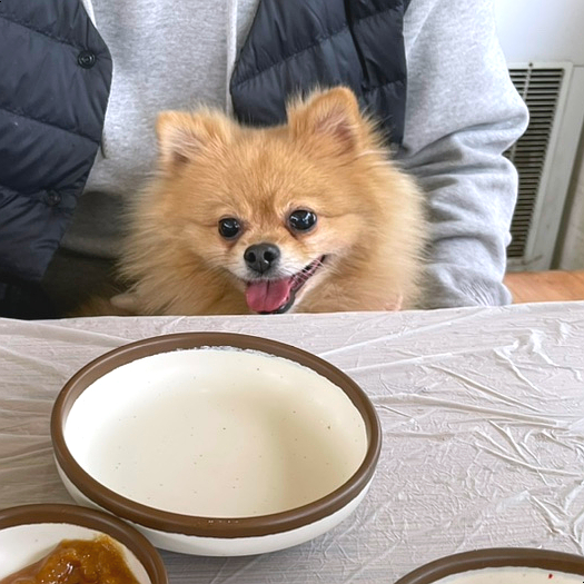  [대구근교미나리삼겹살/가창애견동반식당] 달송 후기 (달송 예약, 달송 주차, 애견동반좌석 찐 후기)
