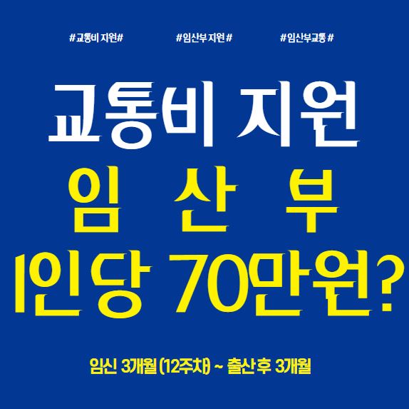  임산부 교통비 지원 1인당 70만원 지원 신청방법 과 바우처?
