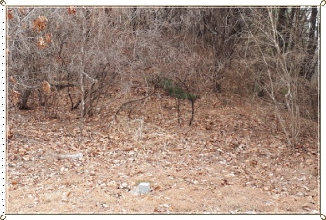 사일산 사진 3
