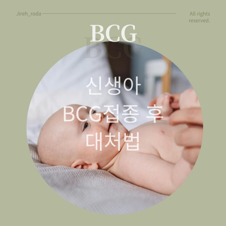신생아 BCG 접종 후 대처법