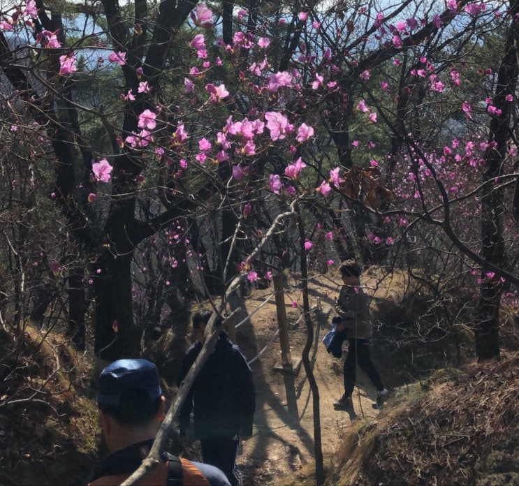 퇴직시, 보상휴가 미사용수당의 평균임금 산정 반영방법 변경 퇴직시, 보상휴가 미사용수당의 평균임금 산정 반영방법 변경