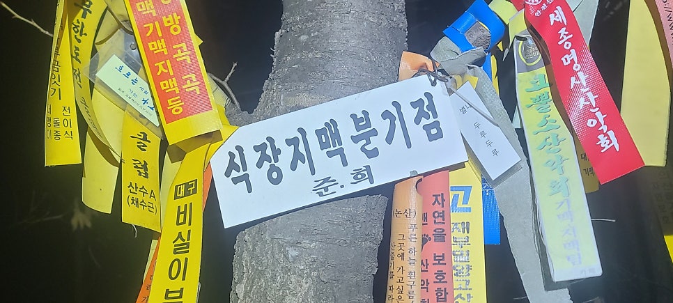 줄골 사진 4