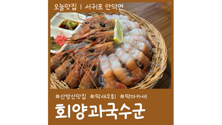 제주먹거리 딱새우회가 맛있는 제주 산방산 맛집 회양과국수군 딱마카세