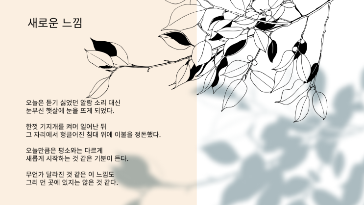  새로운 느낌 - 2024년 3월 18일