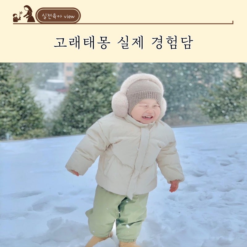 큰 고래 태몽 꿈 해석 성별 실제 경험담 나눠볼게요 W. 시기 뜻 태명