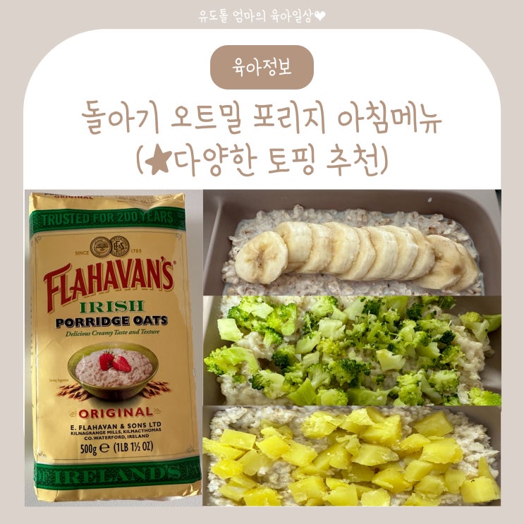  돌아기 오트밀 포리지 토핑추천 초간단 아침밥 레시피