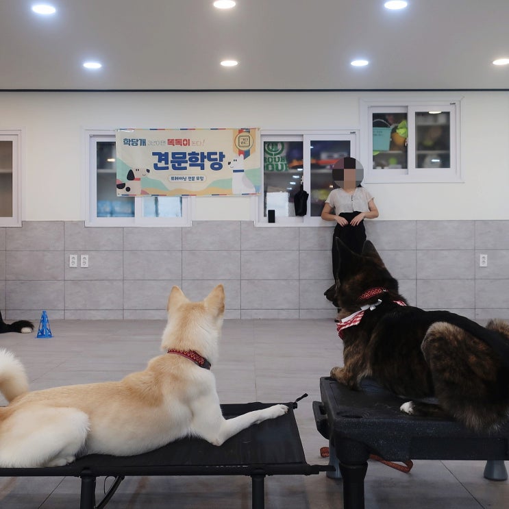  [견문학당 클럽] 오비디언스 파일럿반 수강 5회차 ️