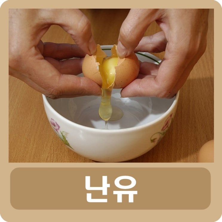  난유 효능 대표 6가지 알아보기