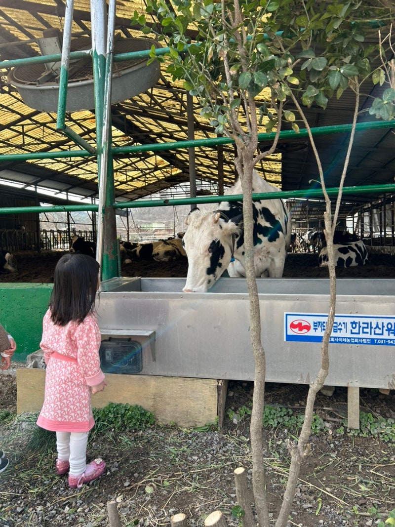 포항 근교나들이 울산 환희목장