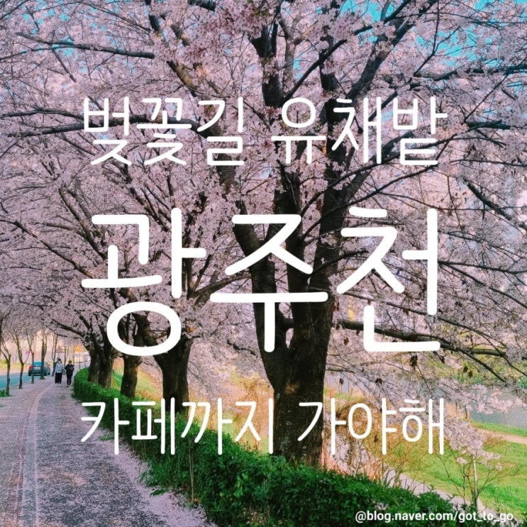  광주천 벚꽃 유채꽃 보고 카페 가자 클레망 카페