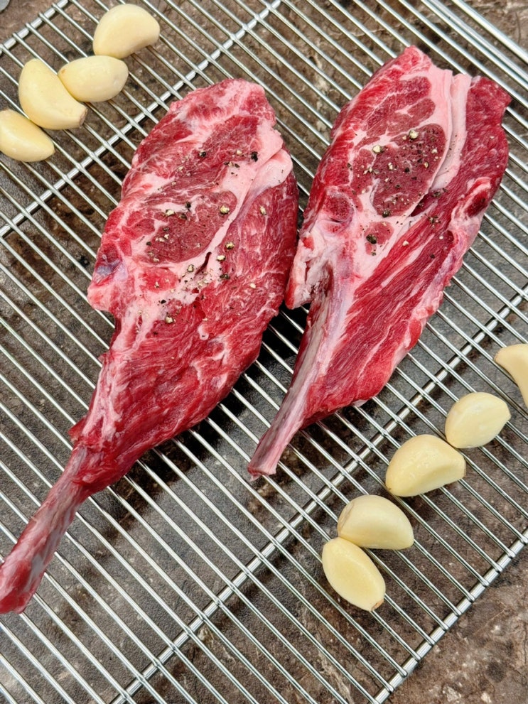  하남 애견동반식당 오늘은양꼬치 맛집