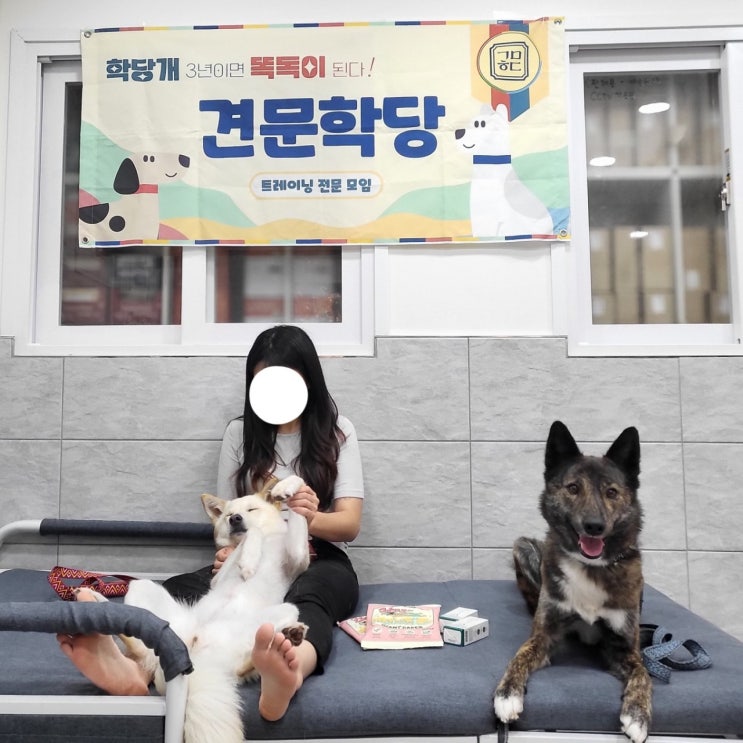  [견문학당 클럽] 오비디언스 파일럿반 수강 1회차 ️