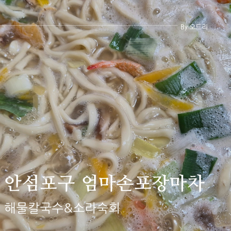  [당진맛집] 안섬포구 해물칼국수 소라숙회 엄마손포장마차