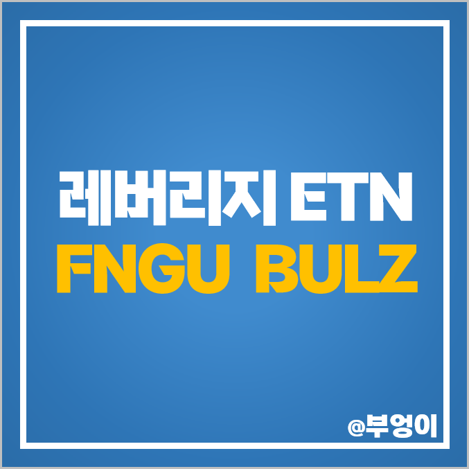 미국 레버리지 ETN FNGU BULZ 주가 구성 주식 종목 미국 레버리지 ETN FNGU BULZ 주가 구성 주식 종목