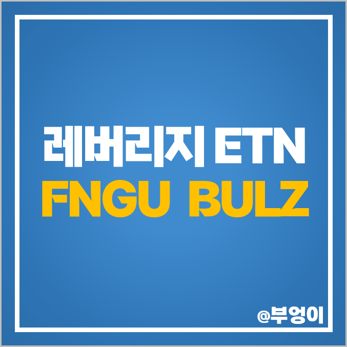 미국 레버리지 ETN FNGU BULZ 주가 구성 주식 종목