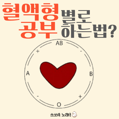  혈액형으로 본 나만의 공부코드와 특징