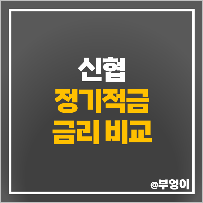 신협 정기적금 금리 비교 단기 6개월 이자 높은 적금 특판 추천