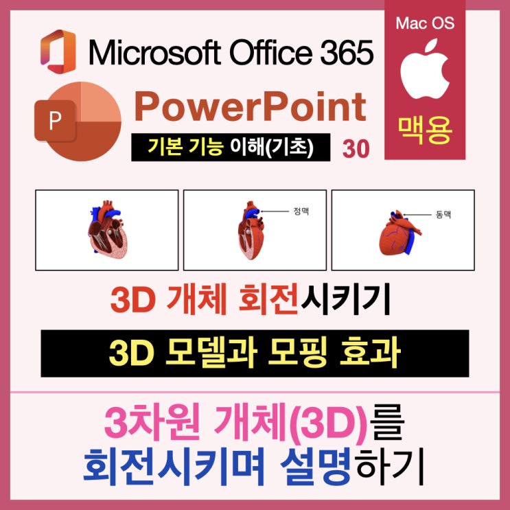 맥북 파워포인트 PPT의 3D 모델을 이용해 3차원 그림을 회전시키며 설명하기 : 모핑 효과 적용 맥북 파워포인트 PPT의 3D 모델을 이용해 3차원 그림을 회전시키며 설명하기 : 모핑 효과 적용
