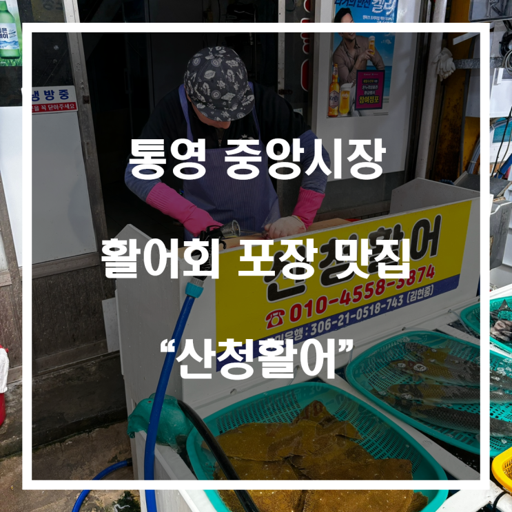 통영 중앙시장 활어회 포장 맛집 “산청활어”