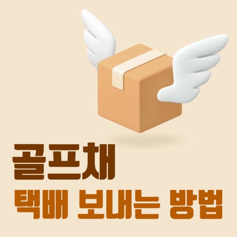 골프채 택배 보내는 방법 후기❤️ 포장, 택배박스, 가격, 편의점택배 / 카카오페이 택배 /샤....
