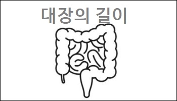 대장의 길이 대장의 구조와 기능 알아볼까요