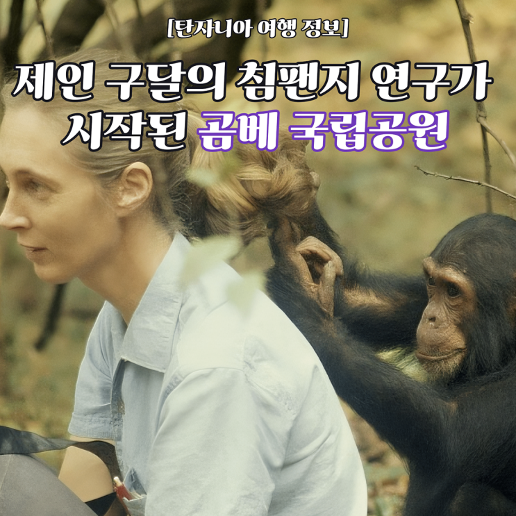  [탄자니아 여행 정보] 제인 구달(Jane Goodall)과 침팬지를 만나 볼 수 있는 여행지, 탄자니아 곰베 국립공원(Gombe National Park) 의 모든 것