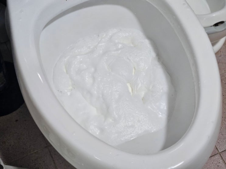  변기세정제 일회용변기클리너로 깨끗한 청소 가능해요