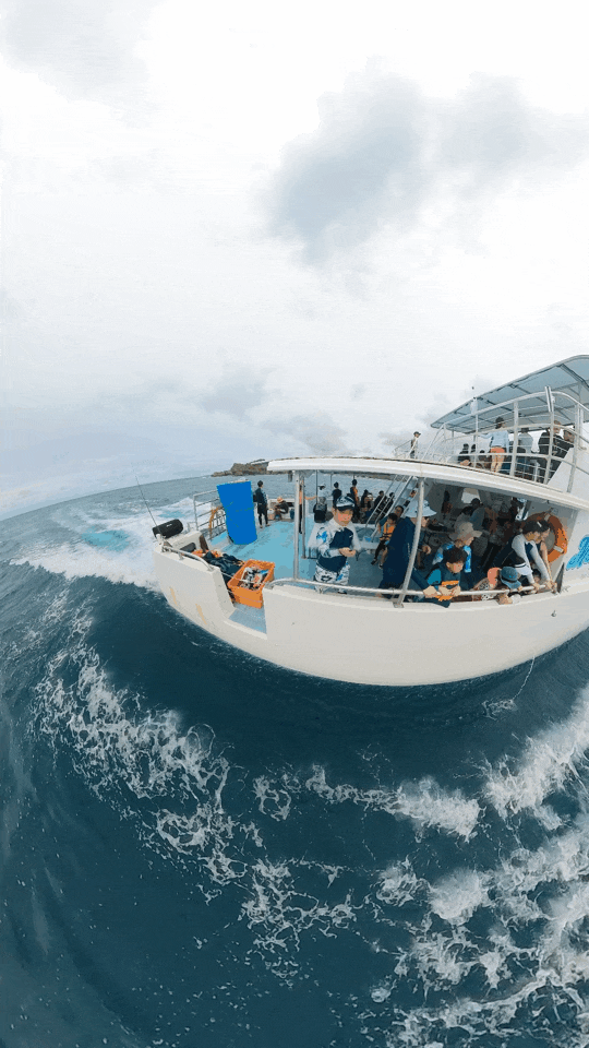 괌 돌고래 투어 후기(괌 여행지 추천)