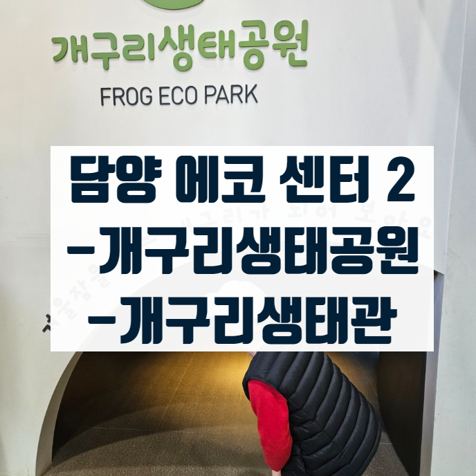  아이와 함께 담양 여행 담양에코센터 2탄 개구리 생태공원과 개구리 생태관 체험프로그램 공유