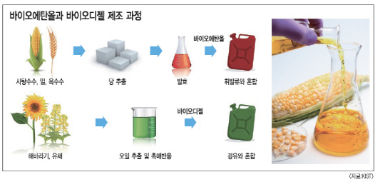  [백데이터] 바이오 에탄올