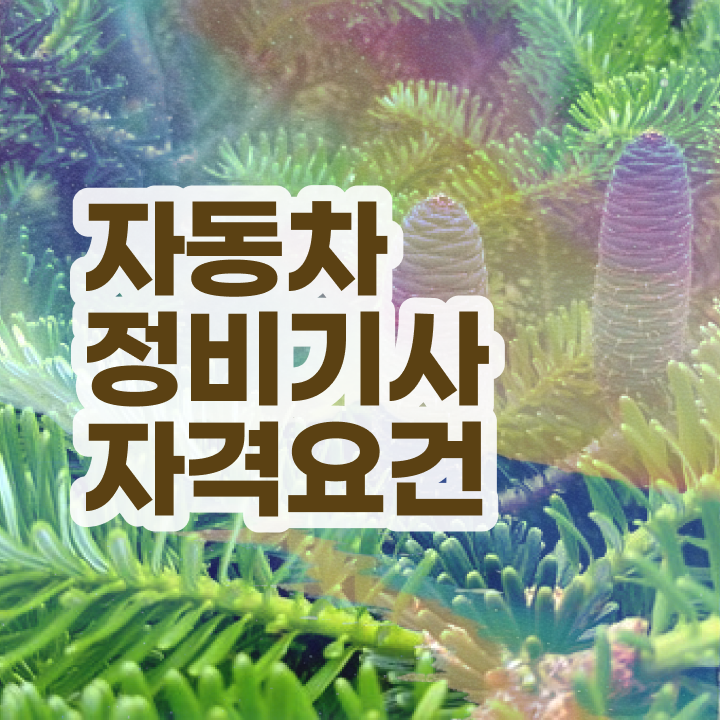  자동차정비기사 합격률준비 방법  콕콕 짚어드립니다 .