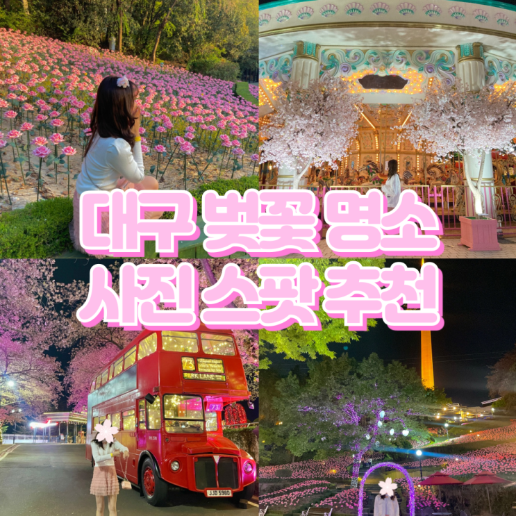 [벚꽃 명소] 대구 이월드 벚꽃축제 사진 스팟!