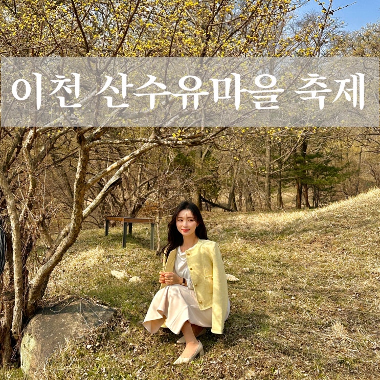  2024 경기도 이천 산수유마을 봄꽃 축제 서울 근교 여행 주차 준비물 먹거리 개화 정도