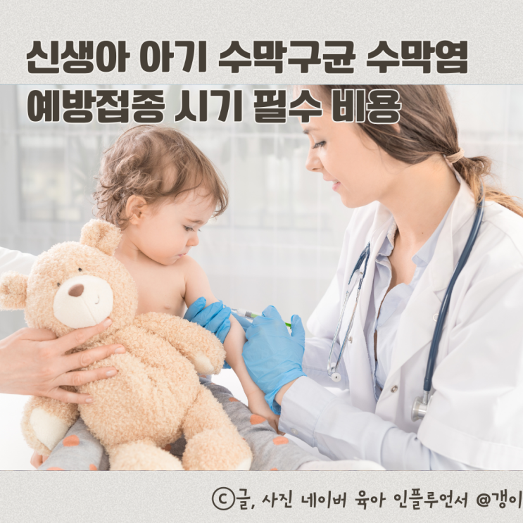  아기 수막구균 예방접종 시기 필수 비용
