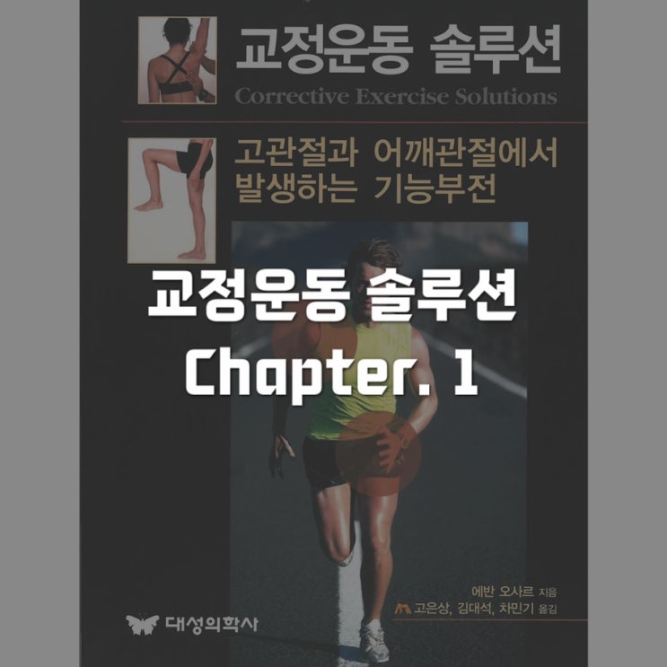  교정운동솔루션 : chapter 1 - 기능적 움직임 체계