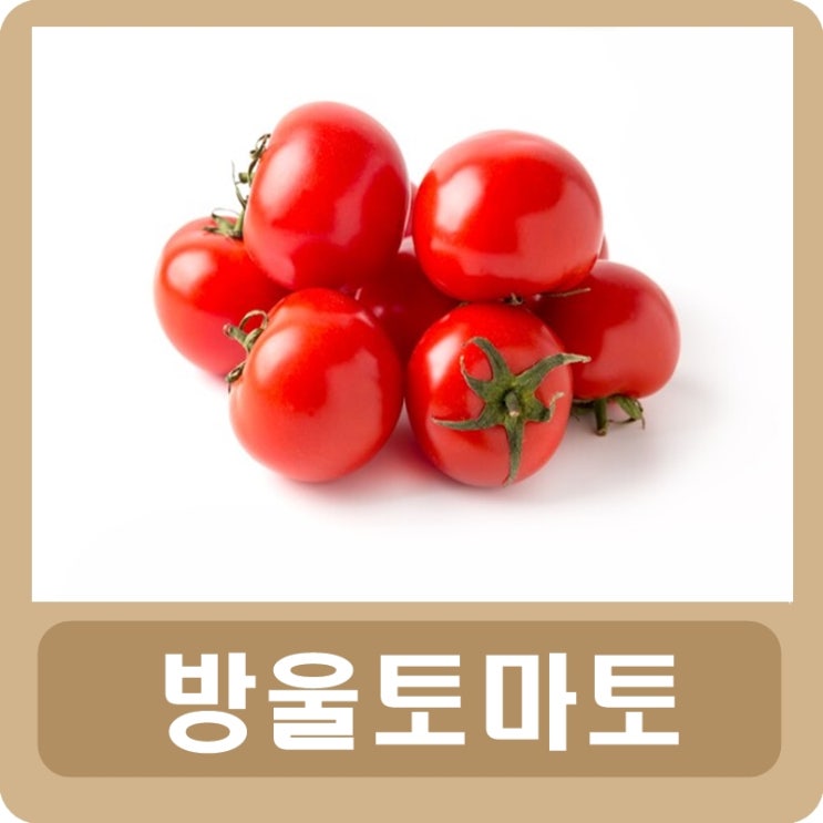  스테비아 방울토마토 칼로리 효능 부작용