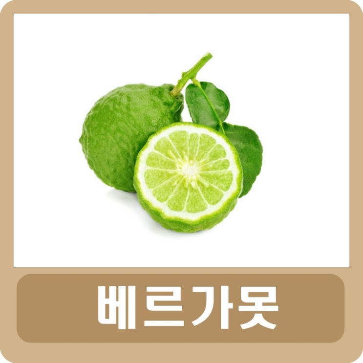  베르가못 효능 부작용 폴리페놀 성분