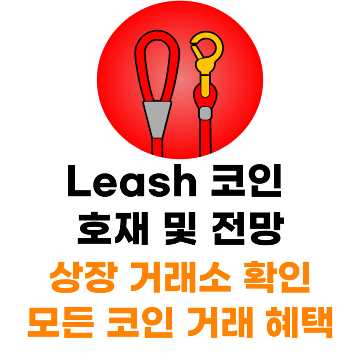  Doge Killer (Leash) 코인 상장 거래소 사는 법