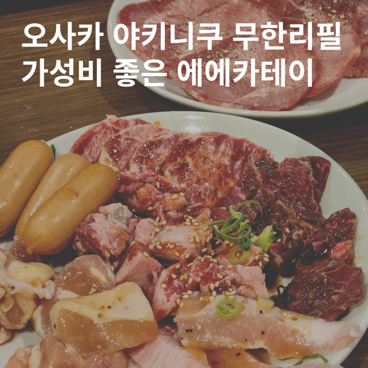  일본 오사카 난바 야키니쿠 무한리필 가성비 맛집 성형육