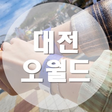  [국내/대전] 대전오월드 나이트 유니버스 자유이용권 이용 후기