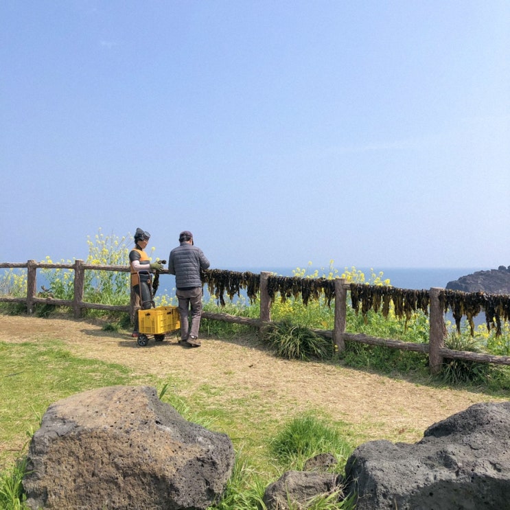  [제주살이] 제주 카페 추천 솔직후기 내돈내산